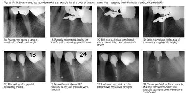 Anatomy_Matters_West_Part_7_Fig1