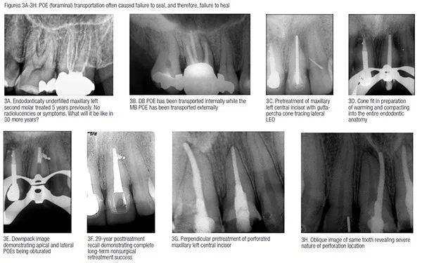 Anatomy_Matters_West_Part_7_Fig3